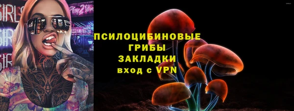 мдпв Переславль-Залесский
